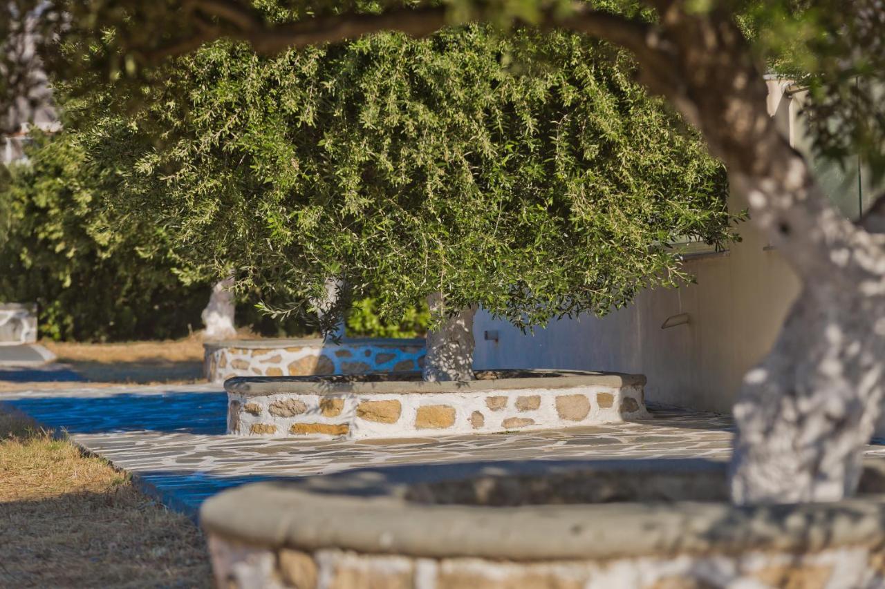 Olive Studios Karpathos Studio #4 外观 照片