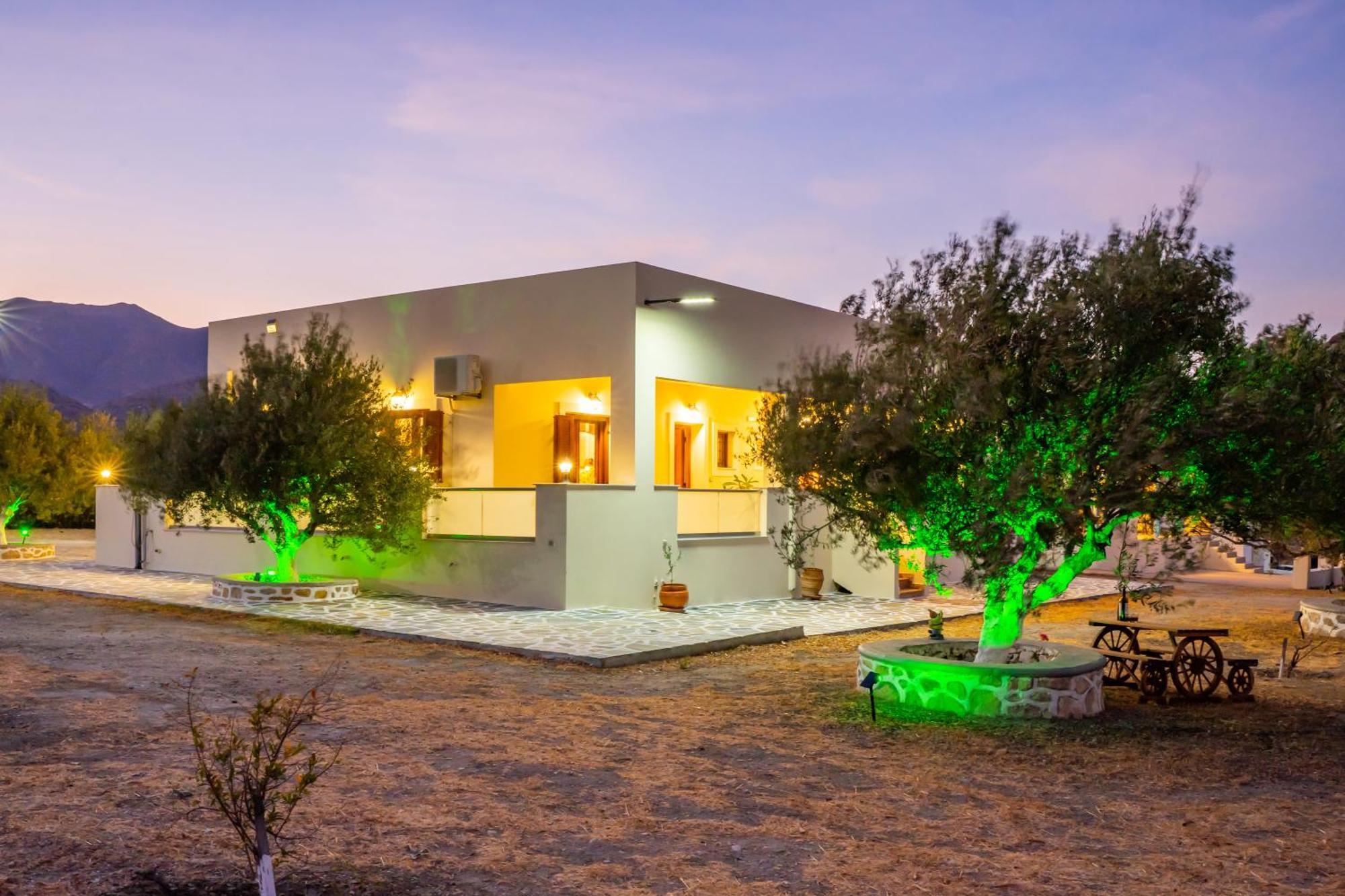 Olive Studios Karpathos Studio #4 外观 照片